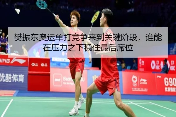 樊振东奥运单打竞争来到关键阶段，谁能在压力之下稳住最后席位